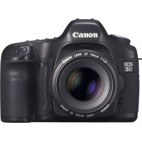 Canon EOS 5D (2 pcs)